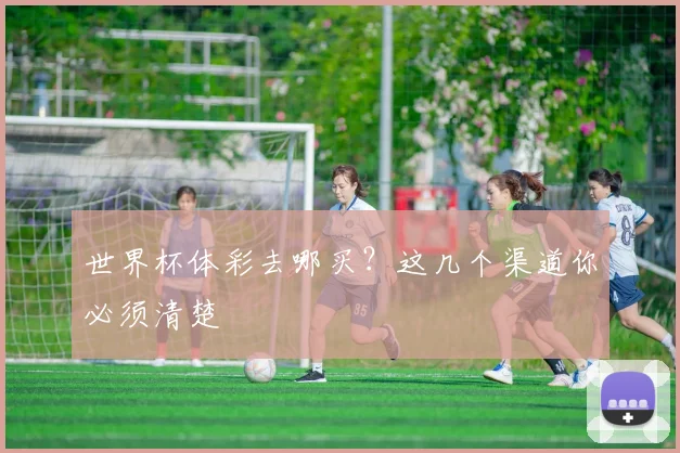 世界杯体彩去哪买？这几个渠道你必须清楚