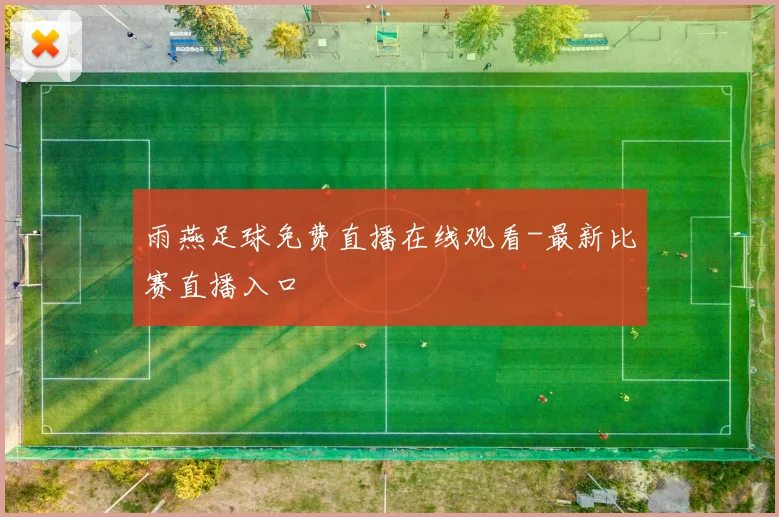 雨燕足球免费直播在线观看-最新比赛直播入口