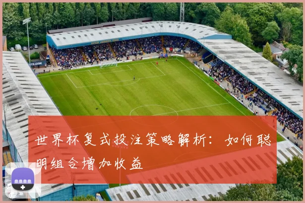 世界杯复式投注策略解析：如何聪明组合增加收益