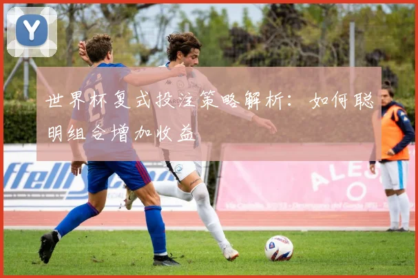 世界杯复式投注策略解析：如何聪明组合增加收益