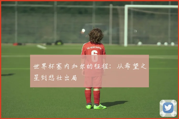 世界杯塞内加尔的征程：从希望之星到悲壮出局