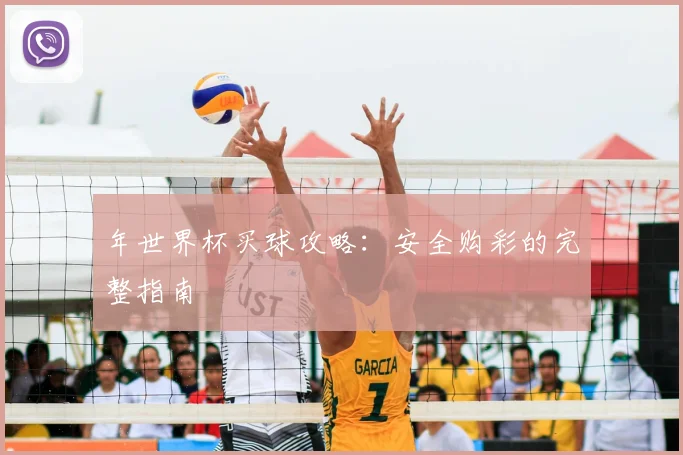 年世界杯买球攻略：安全购彩的完整指南