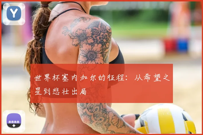世界杯塞内加尔的征程：从希望之星到悲壮出局