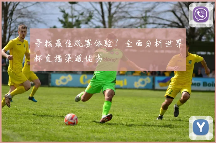 寻找最佳观赛体验?全面分析世界杯直播渠道优劣